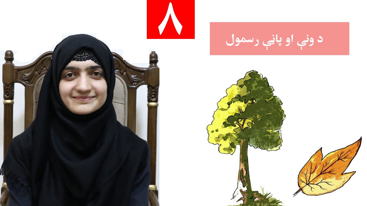 Class 4 - Art | Drawing a tree and a leaf - Lesson 8