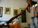digericocco.html