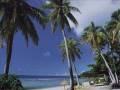 videos de Ocean Coasts - Carl Sandburg