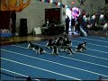 Jr. PeeWee Competition Performance