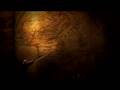 AgeOfConan Trailer