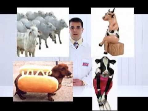 Imagem de Amostra do You Tube