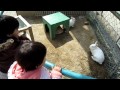 【鞍ヶ池公園】動物ふれあい広場4