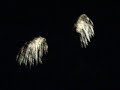 disneyland fireworks