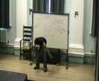 JK's Evolution of Dance (Judson Laipply)