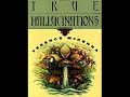 True Hallucinations Pt.13