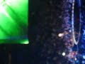Madonna - Human Nature Clip - Philadelphia - Nov. 20th