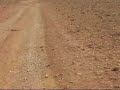 zaida video tamelaht