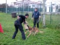 Luis e Yosh Airport Hannover Team Canis Lupus