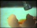MC Hammer Music Video