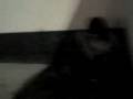 J�ssika mijando litrooos