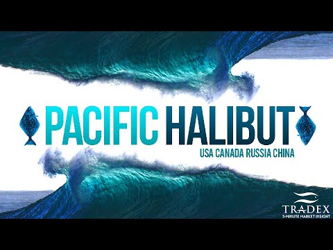 3MMI - Pacific Halibut Update: Canada, USA, Russia & China