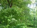 norway-fjords.html
