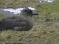 Storkjove Sneum West Jutland Denmark
