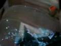 SOME RANDOM SHIT - MY TRUCK GOT BROKEN INTO!