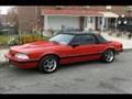 Ant's Stang
