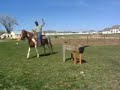 Backhand Hip, moving