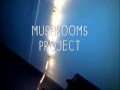 mushrooms project - banks!