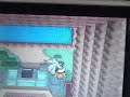 ポケモン　ソウルシルバー　vsサンダー