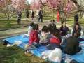 大阪 Hanami 花見 at Osaka Jo Koen