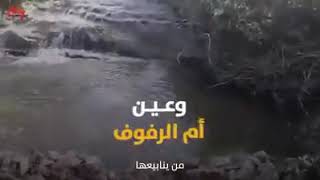 قرية دالية الروحاء المهجرة