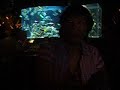 rainforest cafe