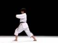 Kanku Dai - WKF Shitei Shoto Kan