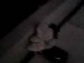 videos de MOV00jkl.3gp