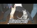Mimas - Make It Funky