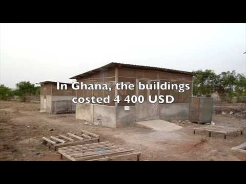 Commercial maggot farming image