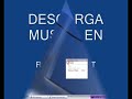 Como descargar musica mp3 sin virus www.remusica.net