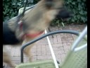 ruby jumping for contest 2 ruby jumping for contest 2