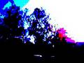 HAARP-VIBRATING-HIDD