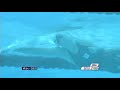 SWIMMING-WOMEN\ SWIMMING-WOMEN\