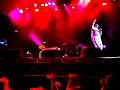 emir kusturica   the no smoking orchestra   bubamara