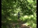 LAILIAS MTB 1000 DENTRA 06-07-08