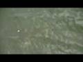Sinop Belgeseli 2