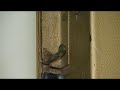 Este vídeo corresponde al Curso de rescate de personas en ascensores, de Juan Luis Santana. Más información en www.rescateascensores.es