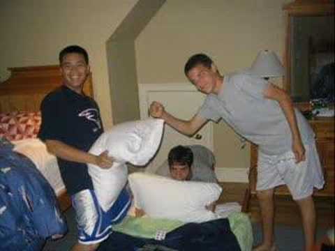 CAPE COD 06