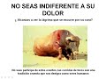corrida de toros: matar por diversion