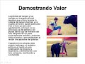 corrida de toros: matar por diversion