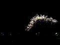Milpitas Firework 2006
