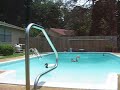 Mojo Pool with decoys