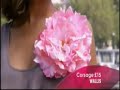 hollyoaks   roxanne mckee on this morning  13/05/08 prt 2 
