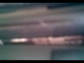 videos de Lobo