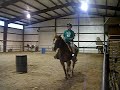 Murray At Horse Camp - PART 2