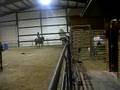 Murray At Horse Camp - PART 2
