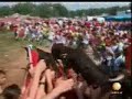 La Saca o suelta y encierro de toros que celebra Soria La Saca o suelta y encierro de toros que celebra Soria