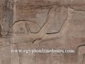 luxor egypt