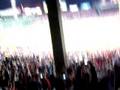 Red Sox Win ALDS!